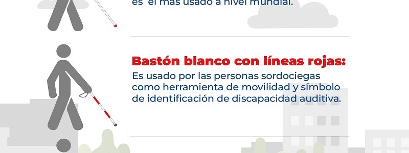 Infografía Uso del bastón